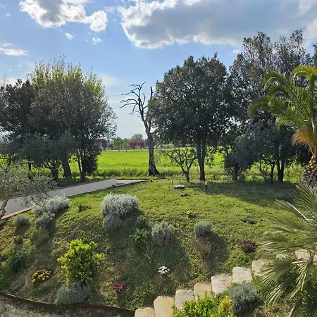 Il Magico Nido Lejlighed *